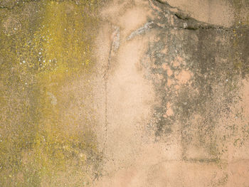 Full frame shot of weathered wall