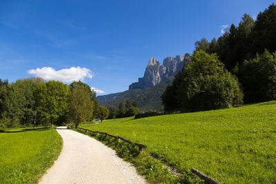 Scenic view of green landscape against blue sky