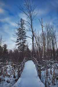 Bare trees and snow-covered footbridge in winter