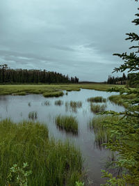 Scenic view of lake against sky