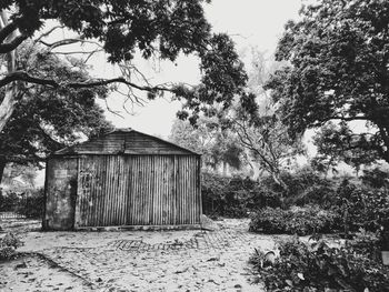 Trees by old house on field against sky