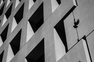 Low angle view of bird flying against building