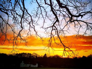 Silhouette trees against sky during sunset