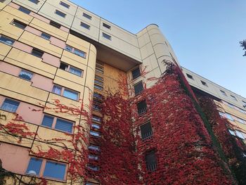 Low angle view of building against clear sky