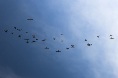 Low angle view of birds flying in sky