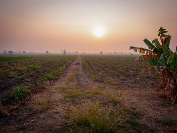 Scenic view of field against sky during sunset