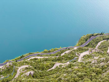 High angle view of plants by sea against sky