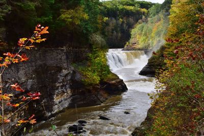 Scenic view of waterfall in forest during autumn