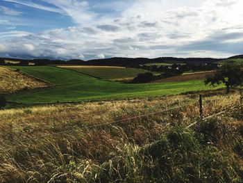 Scenic view of grassy field against cloudy sky