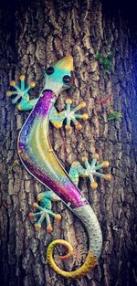 High angle view of fruits on tree trunk