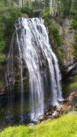 Stream flowing through forest