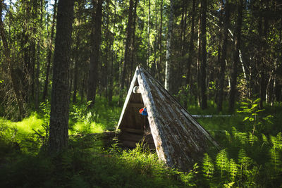 Wooden hut in forest