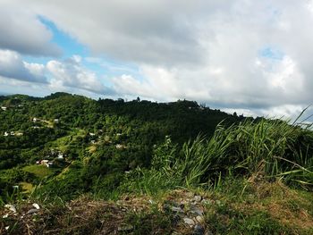 Scenic view of landscape against cloudy sky