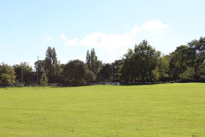 Scenic view of green landscape against sky