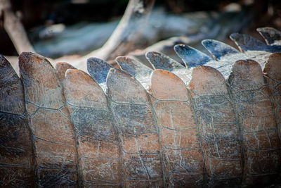 Close-up of rusty metal