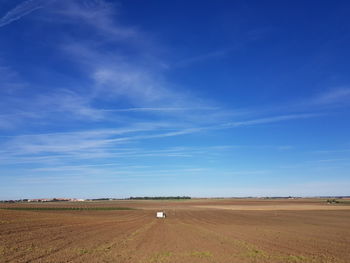 Scenic view of agricultural field against blue sky