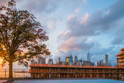 Trees against buildings and cloudy sky during sunset in city