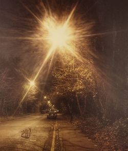 Road amidst trees at night