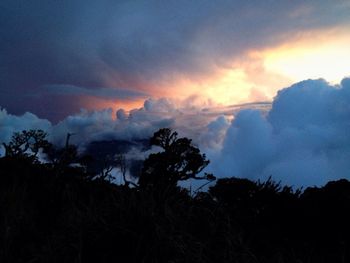 Low angle view of silhouette trees against dramatic sky