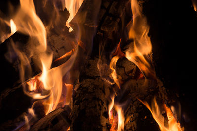 Close-up of bonfire at night