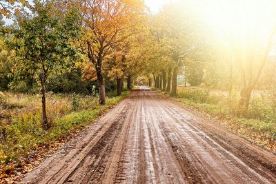 Road amidst trees during autumn