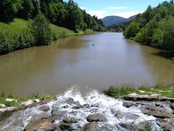 Scenic view of river amidst trees in forest against sky