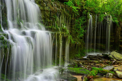 Scenic view of waterfall in forest