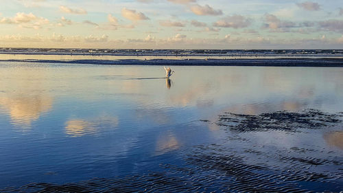 Man standing on beach against sky