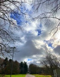 Low angle view of trees on field against sky