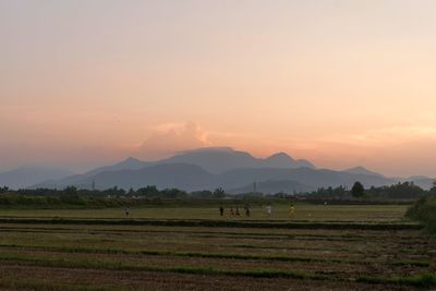 Scenic view of field against sky during sunset