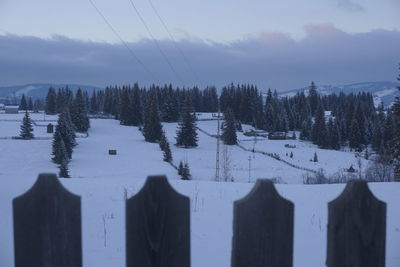 Snow covered landscape