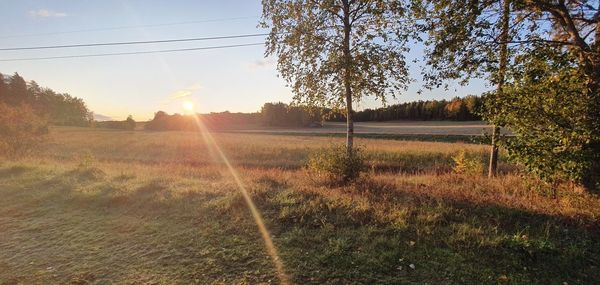 Scenic view of field against sky during sunset