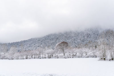 Snow covered field against sky