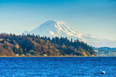 A view of a point with trees and mount rainier in burien, washington.