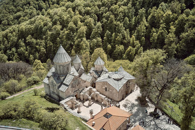 Trees and buildings in forest