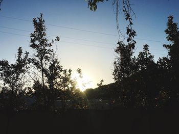 Low angle view of silhouette trees against sky during sunset