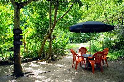 Empty chairs and table in park