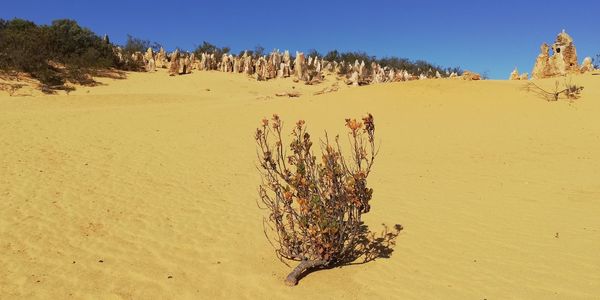 Panoramic view of desert against clear sky