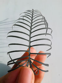 Close-up of hand holding umbrella against white background