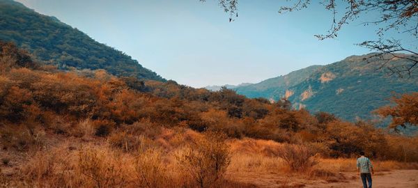 wilderness