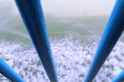 Close-up low section of horse in water