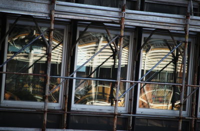 Close-up of greenhouse