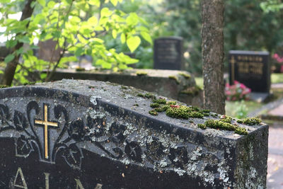 Close-up of cross on cemetery