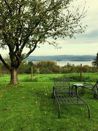 Empty bench in park