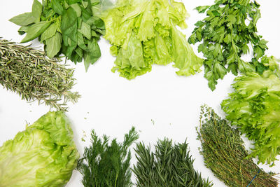 High angle view of chopped leaves against white background