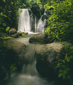 Scenic view of waterfall in forest