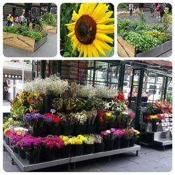 Colorful flowers for sale in market