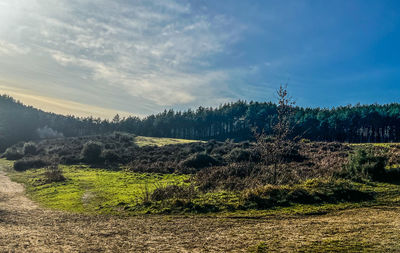 nature