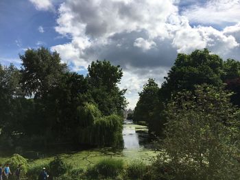 Trees by river against sky