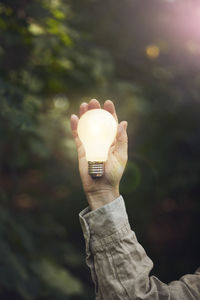 Hand holding lightbulb